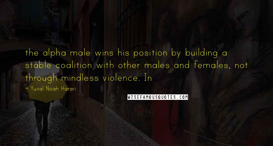 Yuval Noah Harari Quotes: the alpha male wins his position by building a stable coalition with other males and females, not through mindless violence. In