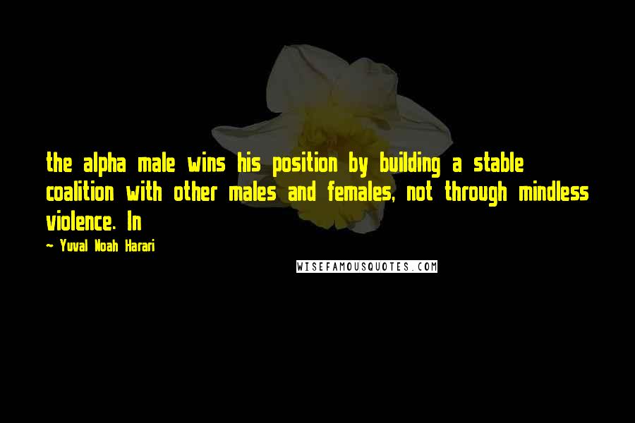 Yuval Noah Harari Quotes: the alpha male wins his position by building a stable coalition with other males and females, not through mindless violence. In