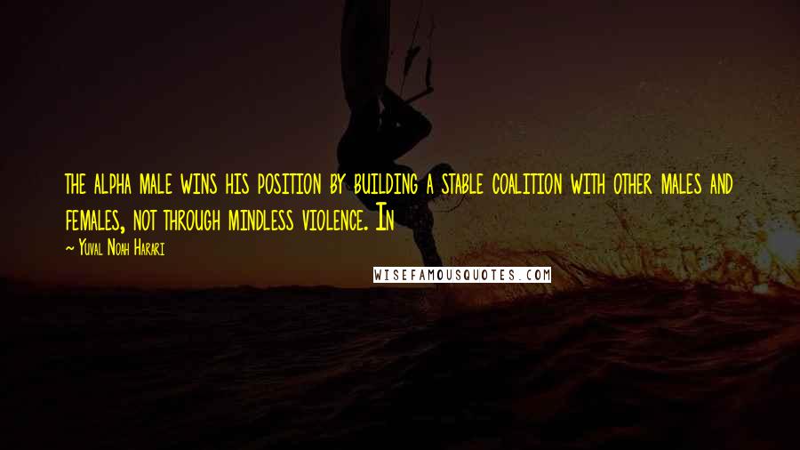 Yuval Noah Harari Quotes: the alpha male wins his position by building a stable coalition with other males and females, not through mindless violence. In