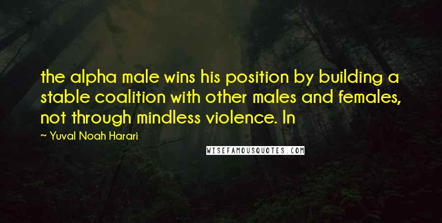 Yuval Noah Harari Quotes: the alpha male wins his position by building a stable coalition with other males and females, not through mindless violence. In