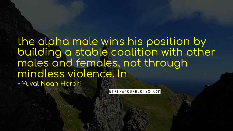 Yuval Noah Harari Quotes: the alpha male wins his position by building a stable coalition with other males and females, not through mindless violence. In