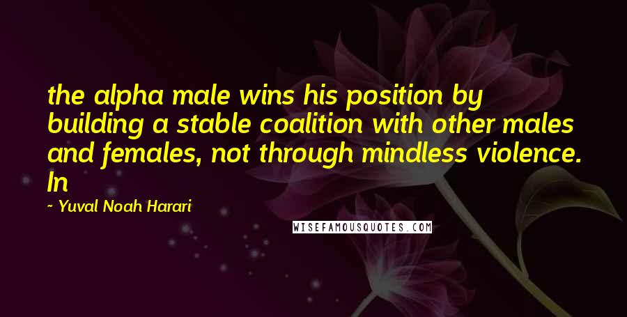 Yuval Noah Harari Quotes: the alpha male wins his position by building a stable coalition with other males and females, not through mindless violence. In