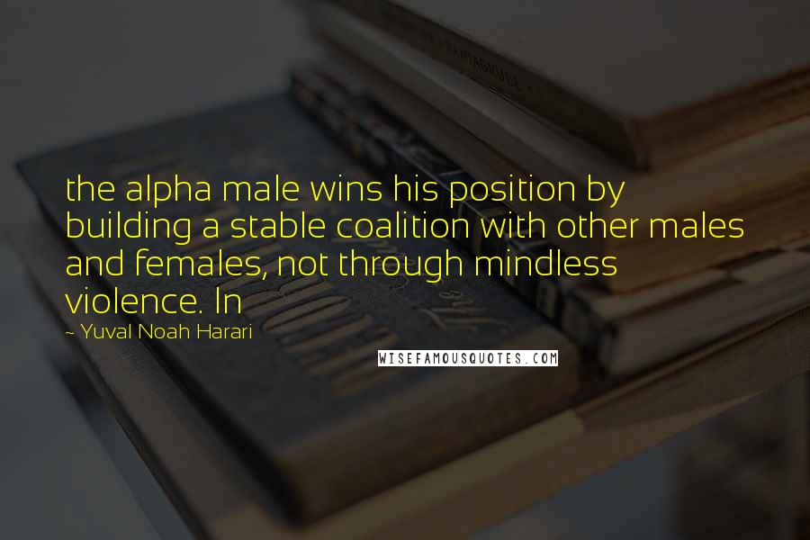 Yuval Noah Harari Quotes: the alpha male wins his position by building a stable coalition with other males and females, not through mindless violence. In