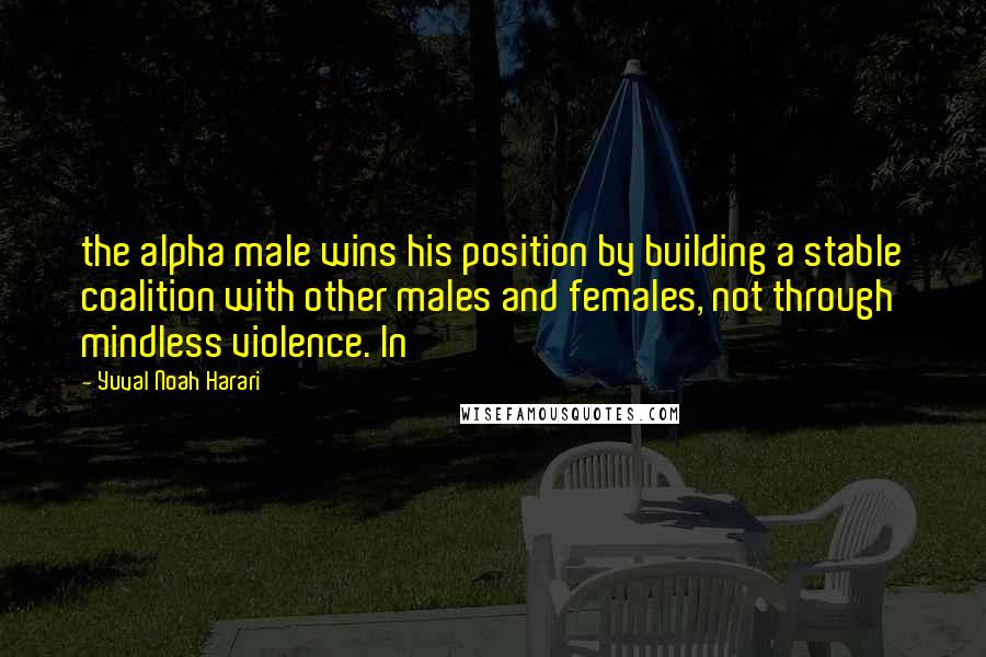 Yuval Noah Harari Quotes: the alpha male wins his position by building a stable coalition with other males and females, not through mindless violence. In