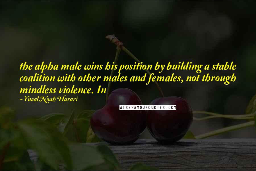 Yuval Noah Harari Quotes: the alpha male wins his position by building a stable coalition with other males and females, not through mindless violence. In