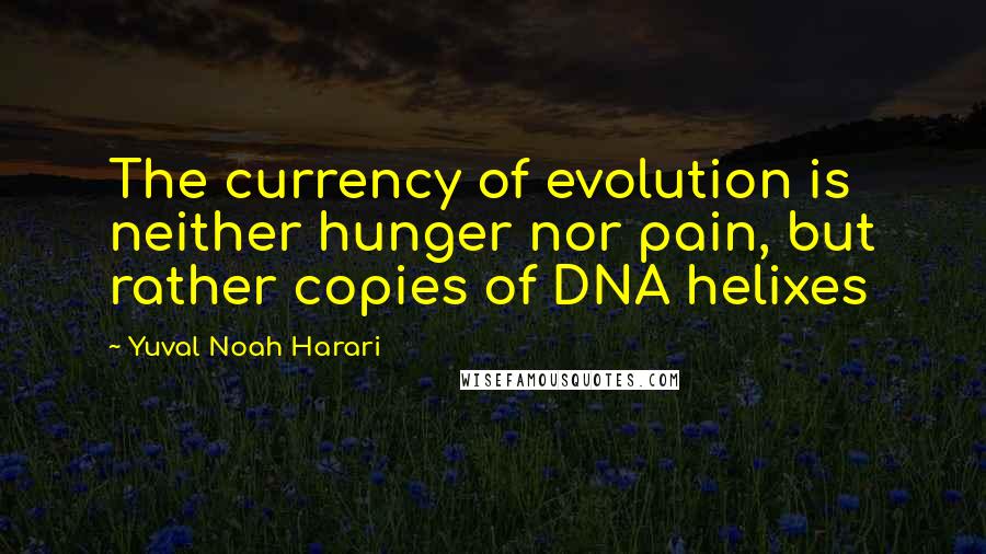 Yuval Noah Harari Quotes: The currency of evolution is neither hunger nor pain, but rather copies of DNA helixes