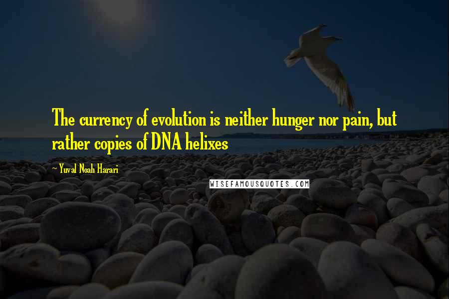 Yuval Noah Harari Quotes: The currency of evolution is neither hunger nor pain, but rather copies of DNA helixes