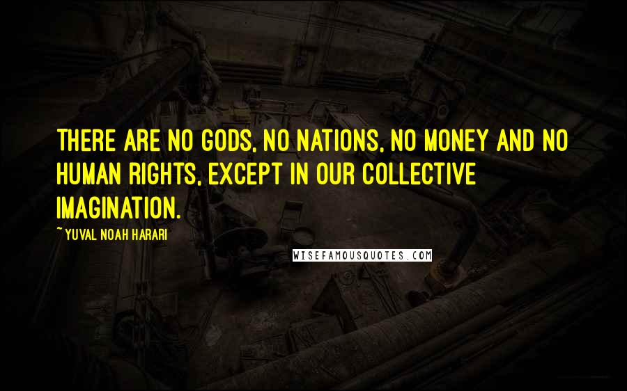 Yuval Noah Harari Quotes: There are no gods, no nations, no money and no human rights, except in our collective imagination.