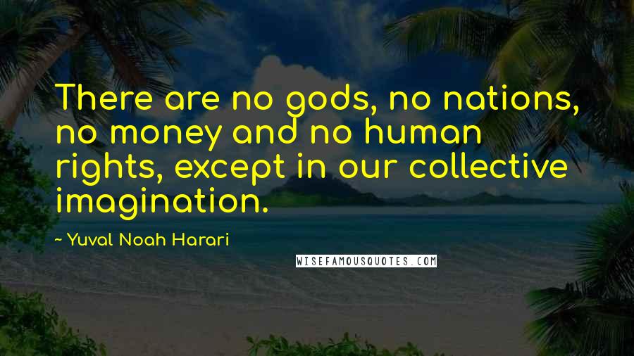 Yuval Noah Harari Quotes: There are no gods, no nations, no money and no human rights, except in our collective imagination.