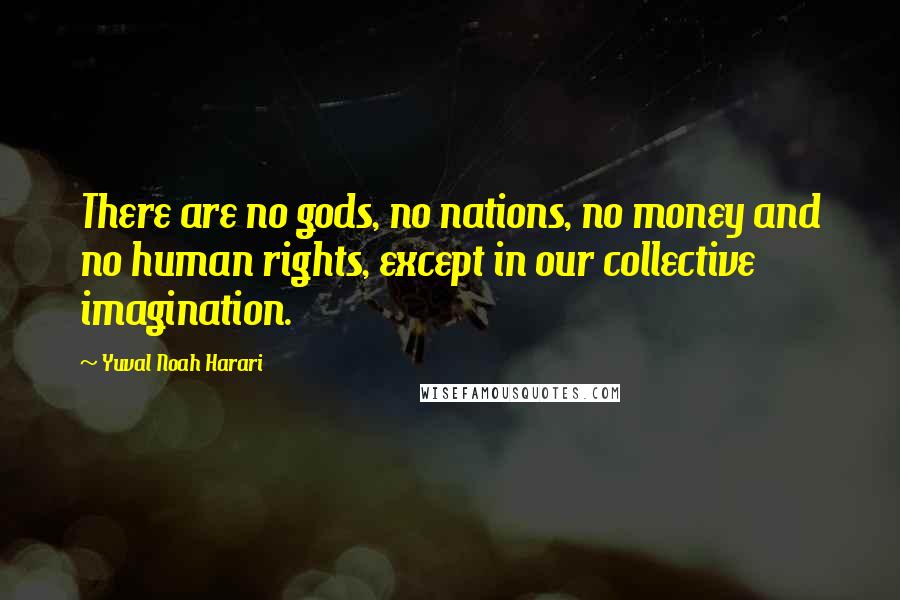 Yuval Noah Harari Quotes: There are no gods, no nations, no money and no human rights, except in our collective imagination.