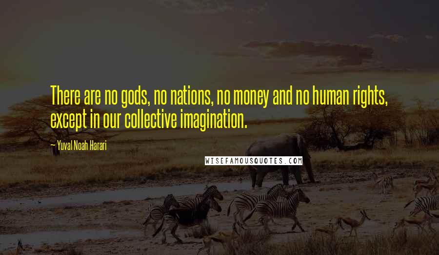 Yuval Noah Harari Quotes: There are no gods, no nations, no money and no human rights, except in our collective imagination.