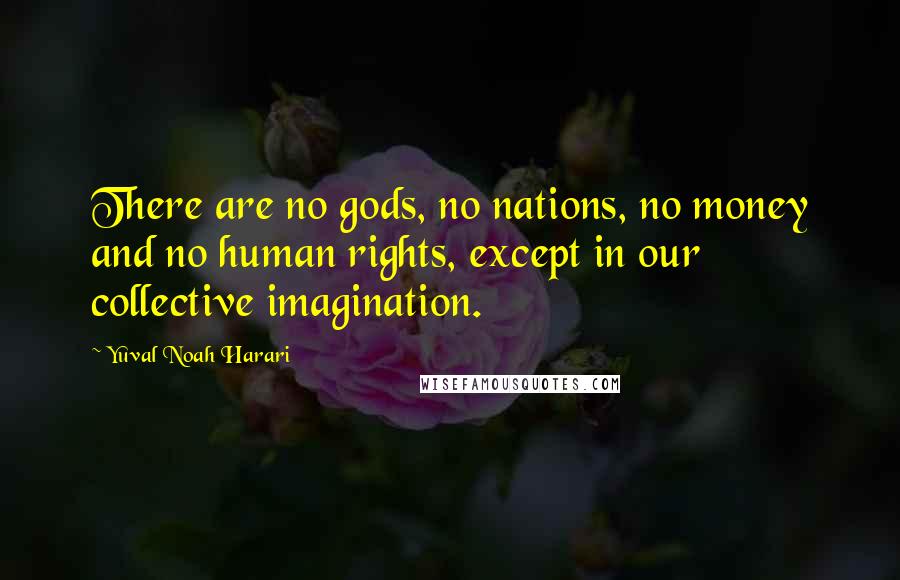 Yuval Noah Harari Quotes: There are no gods, no nations, no money and no human rights, except in our collective imagination.