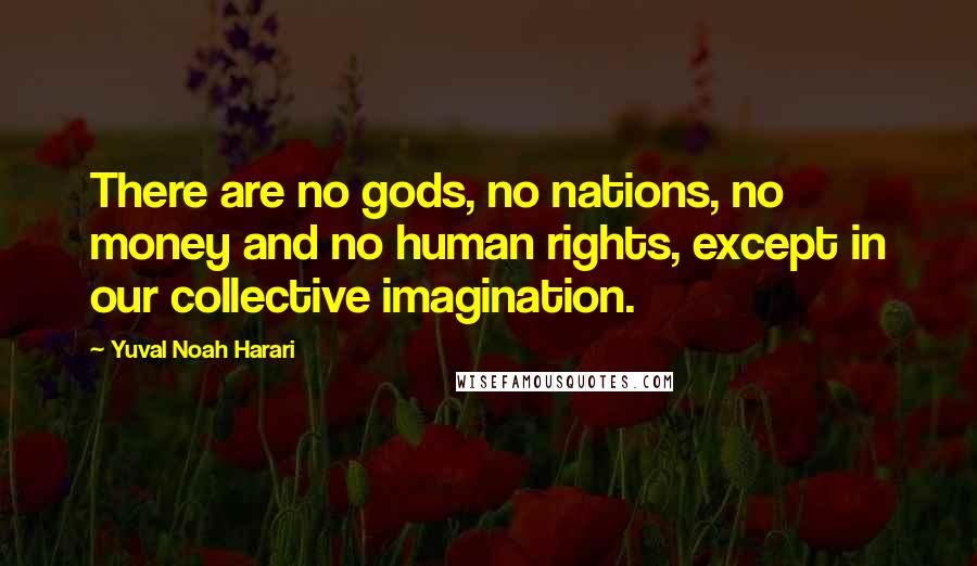 Yuval Noah Harari Quotes: There are no gods, no nations, no money and no human rights, except in our collective imagination.