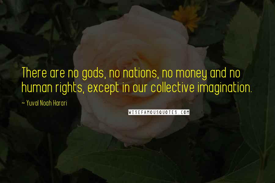 Yuval Noah Harari Quotes: There are no gods, no nations, no money and no human rights, except in our collective imagination.