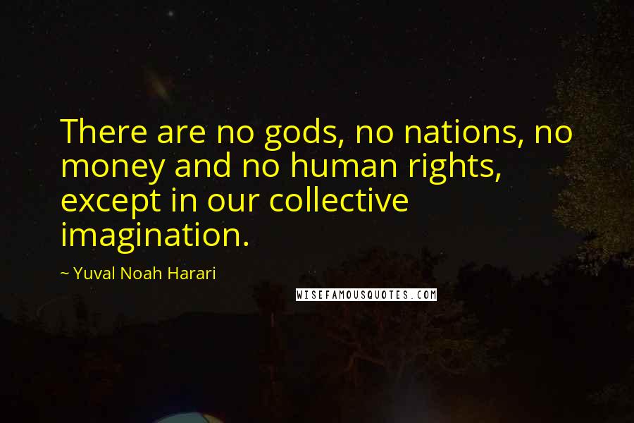 Yuval Noah Harari Quotes: There are no gods, no nations, no money and no human rights, except in our collective imagination.