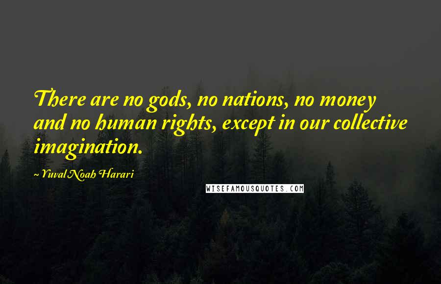 Yuval Noah Harari Quotes: There are no gods, no nations, no money and no human rights, except in our collective imagination.