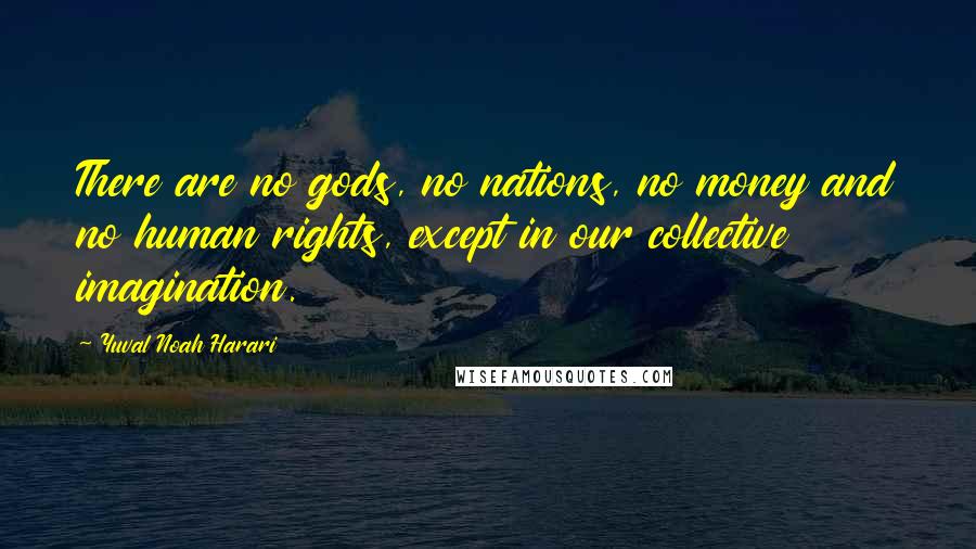 Yuval Noah Harari Quotes: There are no gods, no nations, no money and no human rights, except in our collective imagination.