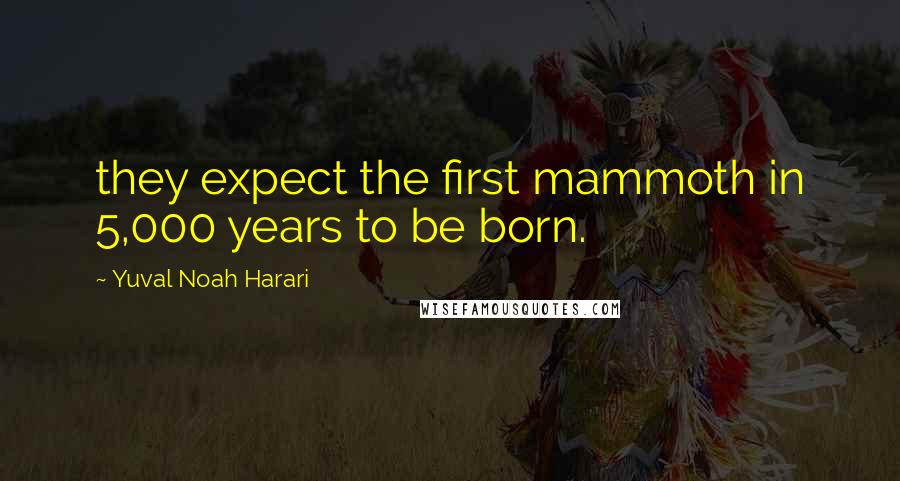 Yuval Noah Harari Quotes: they expect the first mammoth in 5,000 years to be born.