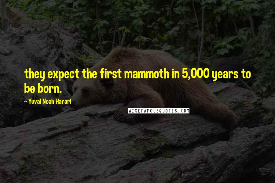 Yuval Noah Harari Quotes: they expect the first mammoth in 5,000 years to be born.