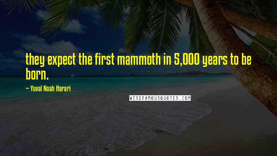 Yuval Noah Harari Quotes: they expect the first mammoth in 5,000 years to be born.