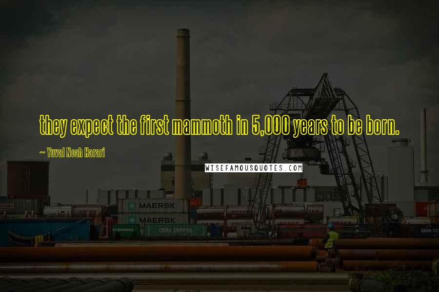 Yuval Noah Harari Quotes: they expect the first mammoth in 5,000 years to be born.