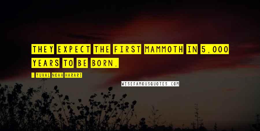 Yuval Noah Harari Quotes: they expect the first mammoth in 5,000 years to be born.