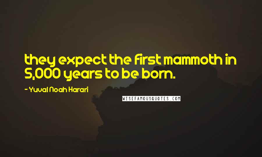 Yuval Noah Harari Quotes: they expect the first mammoth in 5,000 years to be born.