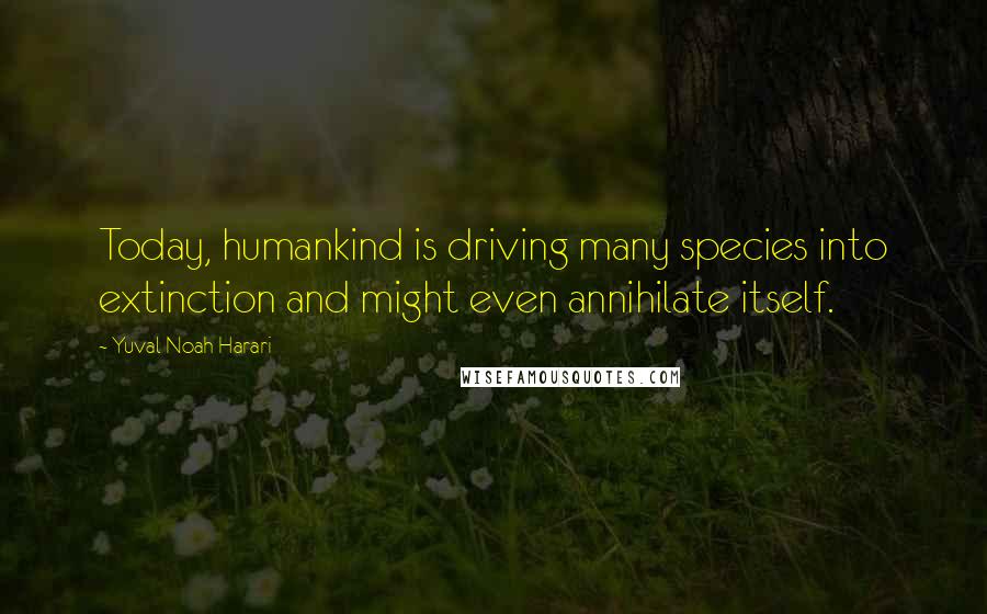 Yuval Noah Harari Quotes: Today, humankind is driving many species into extinction and might even annihilate itself.