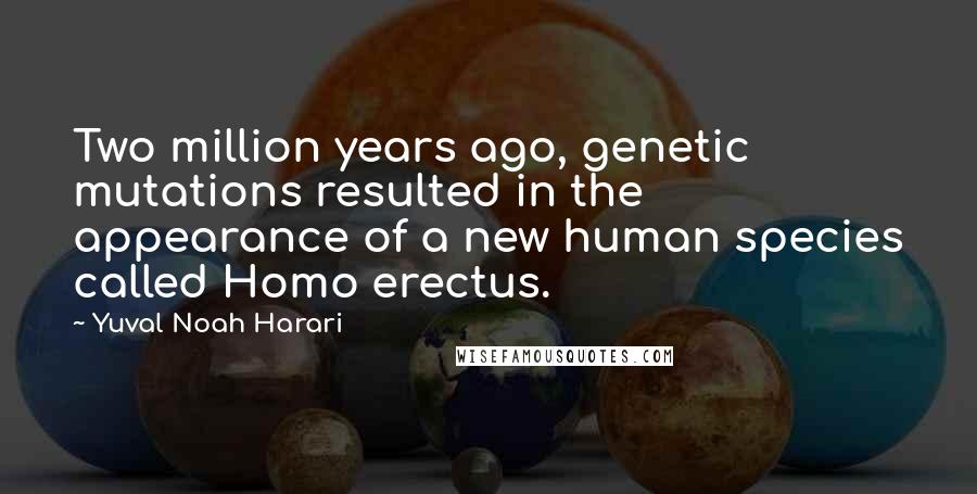 Yuval Noah Harari Quotes: Two million years ago, genetic mutations resulted in the appearance of a new human species called Homo erectus.