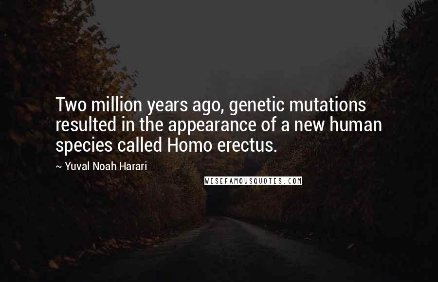 Yuval Noah Harari Quotes: Two million years ago, genetic mutations resulted in the appearance of a new human species called Homo erectus.