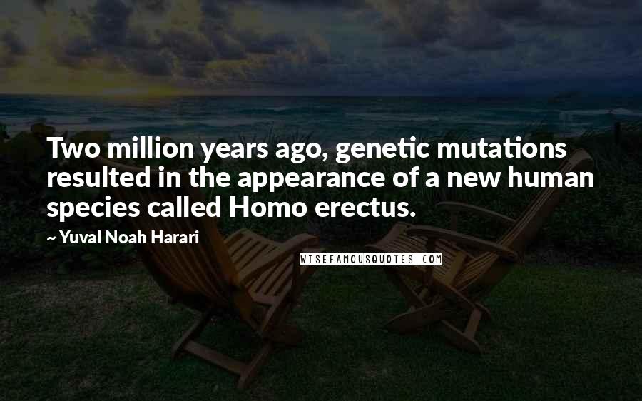 Yuval Noah Harari Quotes: Two million years ago, genetic mutations resulted in the appearance of a new human species called Homo erectus.