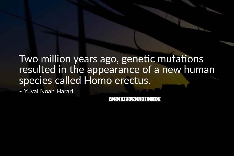 Yuval Noah Harari Quotes: Two million years ago, genetic mutations resulted in the appearance of a new human species called Homo erectus.