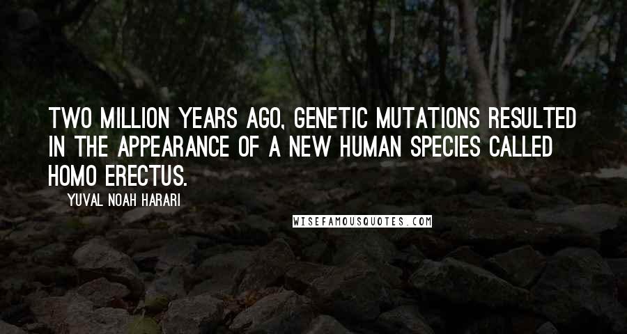 Yuval Noah Harari Quotes: Two million years ago, genetic mutations resulted in the appearance of a new human species called Homo erectus.