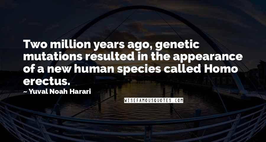 Yuval Noah Harari Quotes: Two million years ago, genetic mutations resulted in the appearance of a new human species called Homo erectus.