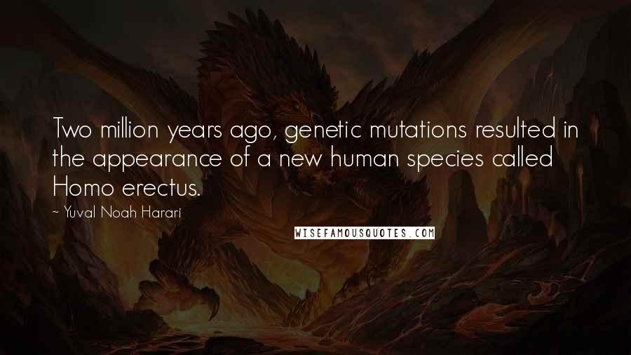 Yuval Noah Harari Quotes: Two million years ago, genetic mutations resulted in the appearance of a new human species called Homo erectus.