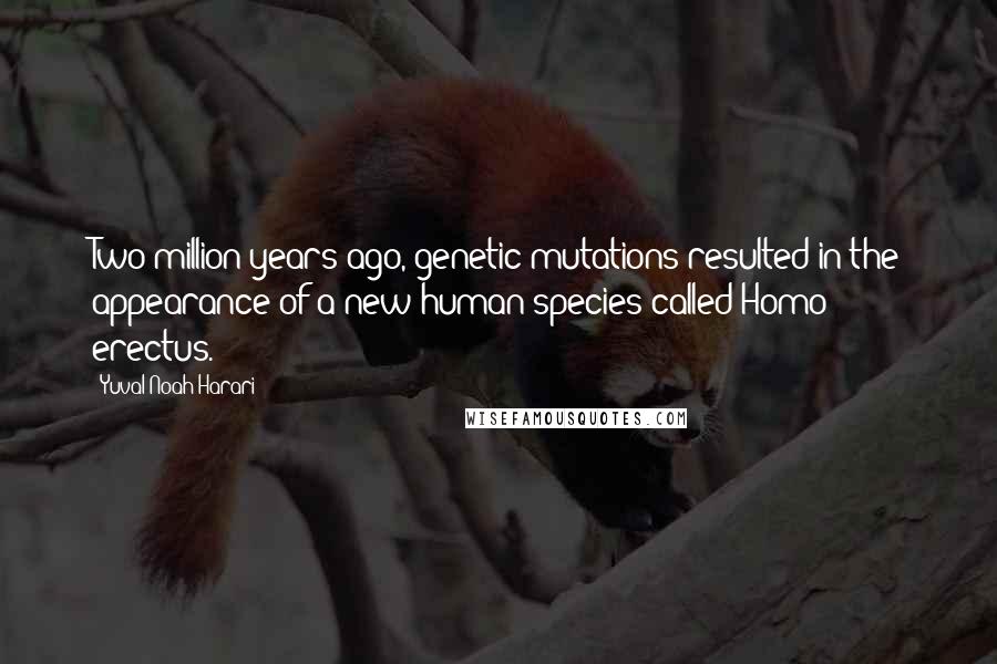 Yuval Noah Harari Quotes: Two million years ago, genetic mutations resulted in the appearance of a new human species called Homo erectus.