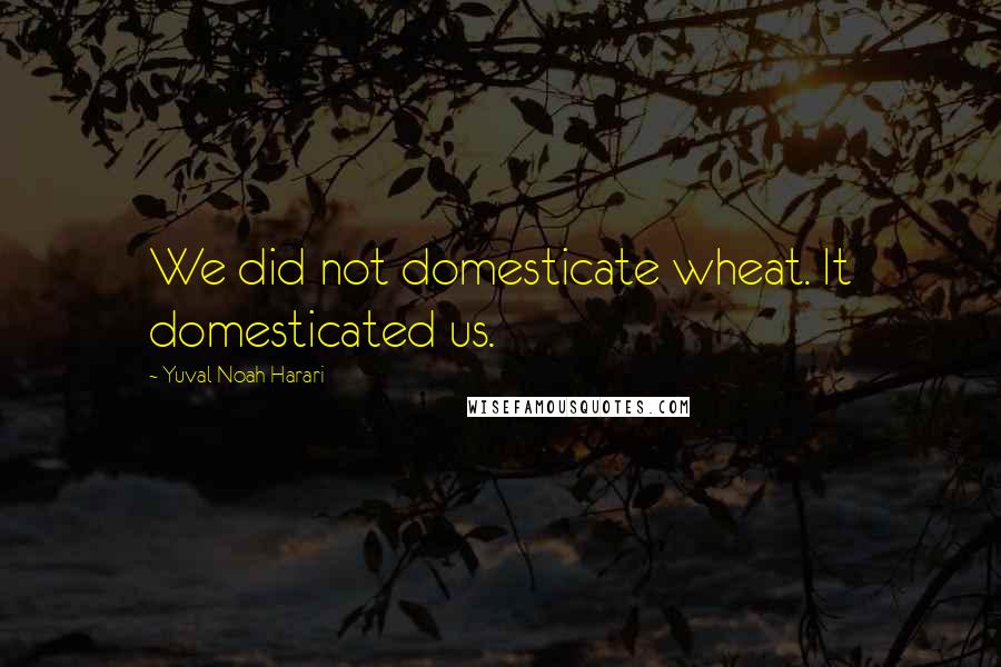 Yuval Noah Harari Quotes: We did not domesticate wheat. It domesticated us.