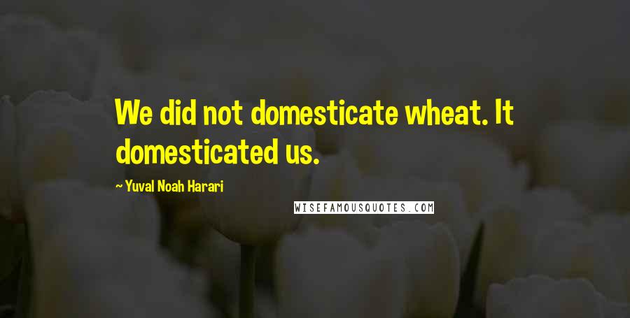 Yuval Noah Harari Quotes: We did not domesticate wheat. It domesticated us.
