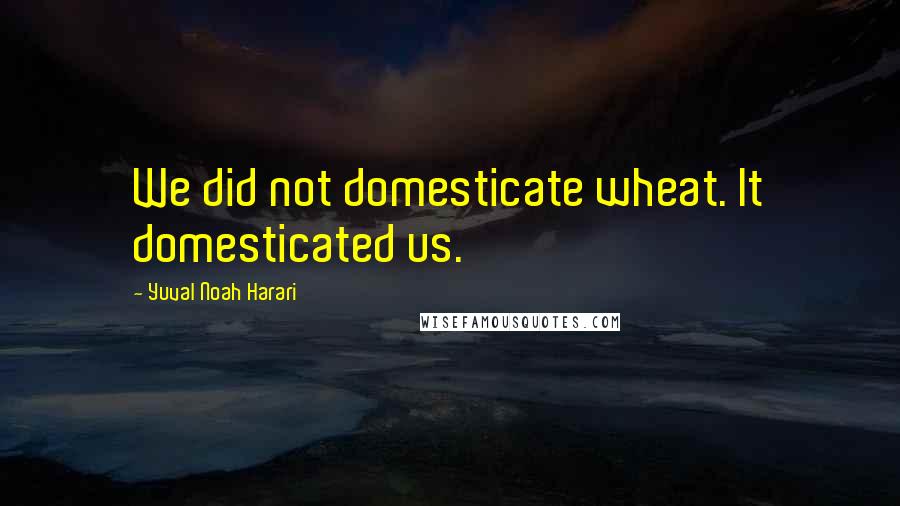 Yuval Noah Harari Quotes: We did not domesticate wheat. It domesticated us.