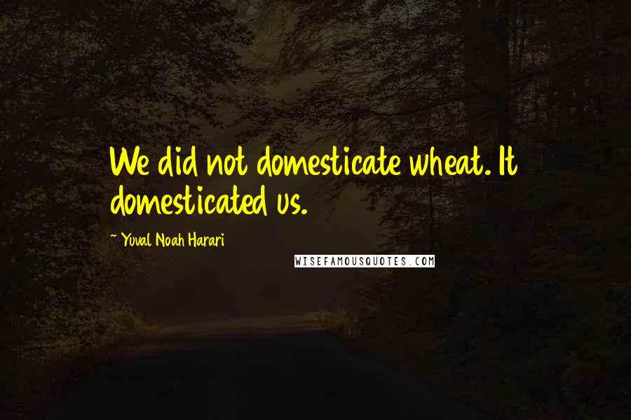 Yuval Noah Harari Quotes: We did not domesticate wheat. It domesticated us.