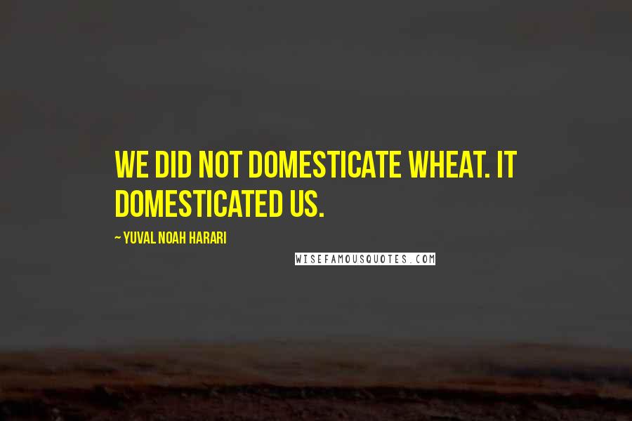 Yuval Noah Harari Quotes: We did not domesticate wheat. It domesticated us.