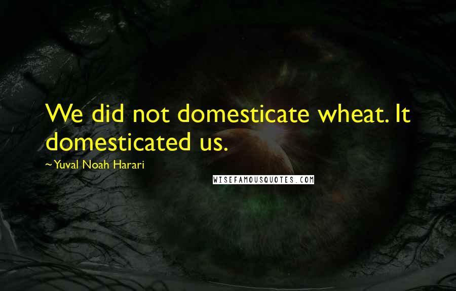 Yuval Noah Harari Quotes: We did not domesticate wheat. It domesticated us.