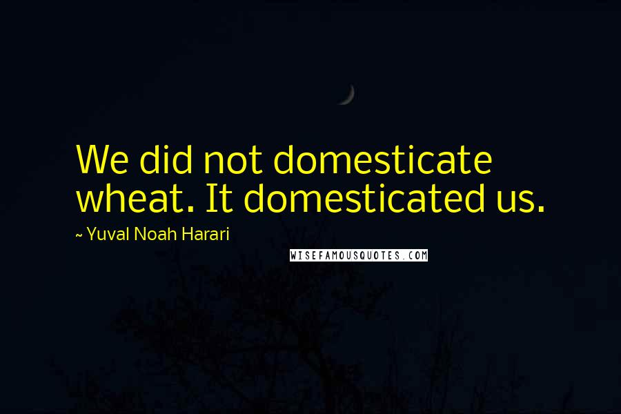 Yuval Noah Harari Quotes: We did not domesticate wheat. It domesticated us.
