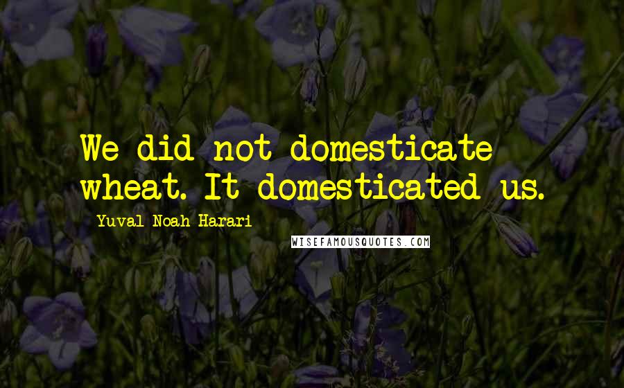 Yuval Noah Harari Quotes: We did not domesticate wheat. It domesticated us.