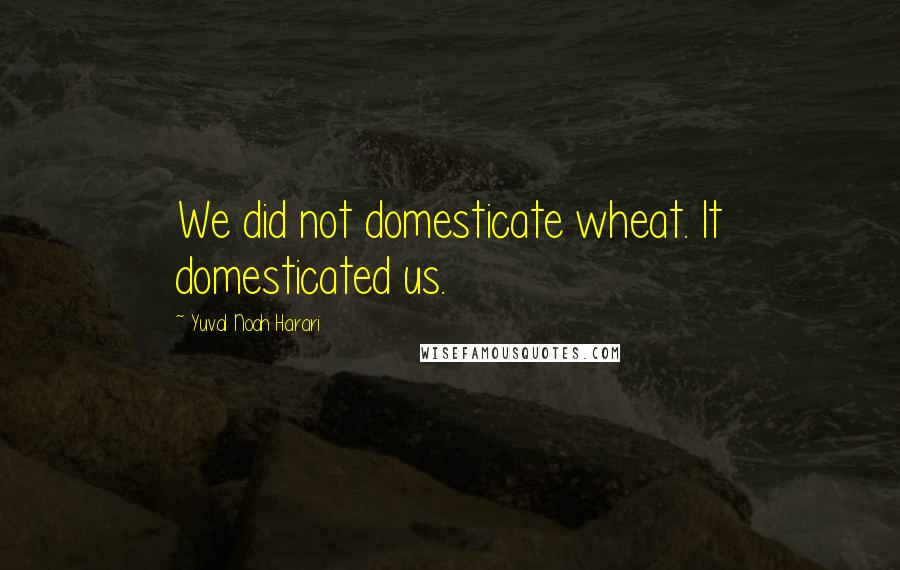 Yuval Noah Harari Quotes: We did not domesticate wheat. It domesticated us.