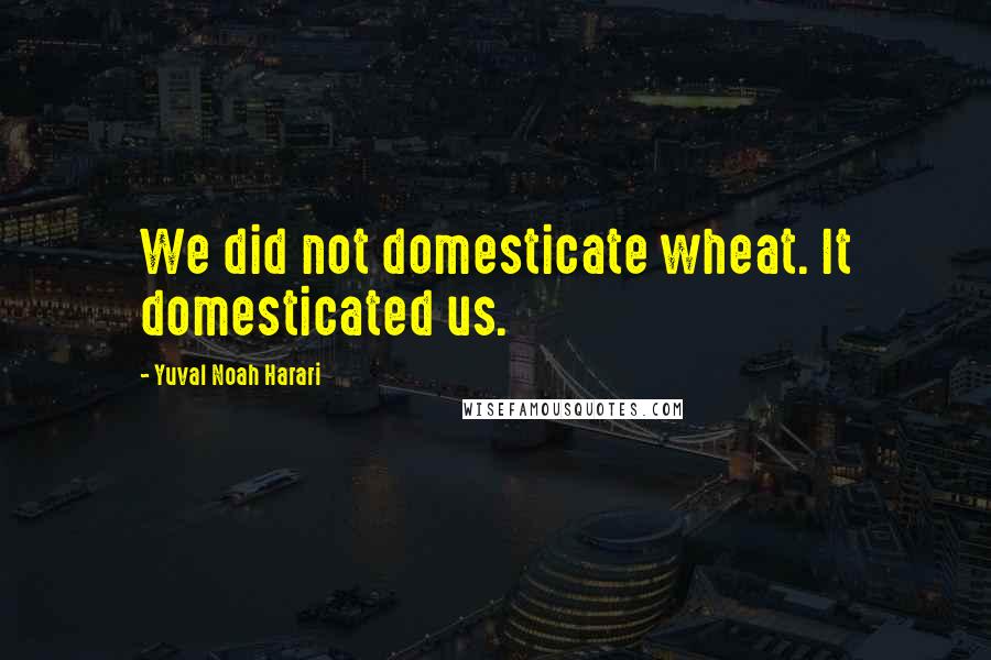 Yuval Noah Harari Quotes: We did not domesticate wheat. It domesticated us.