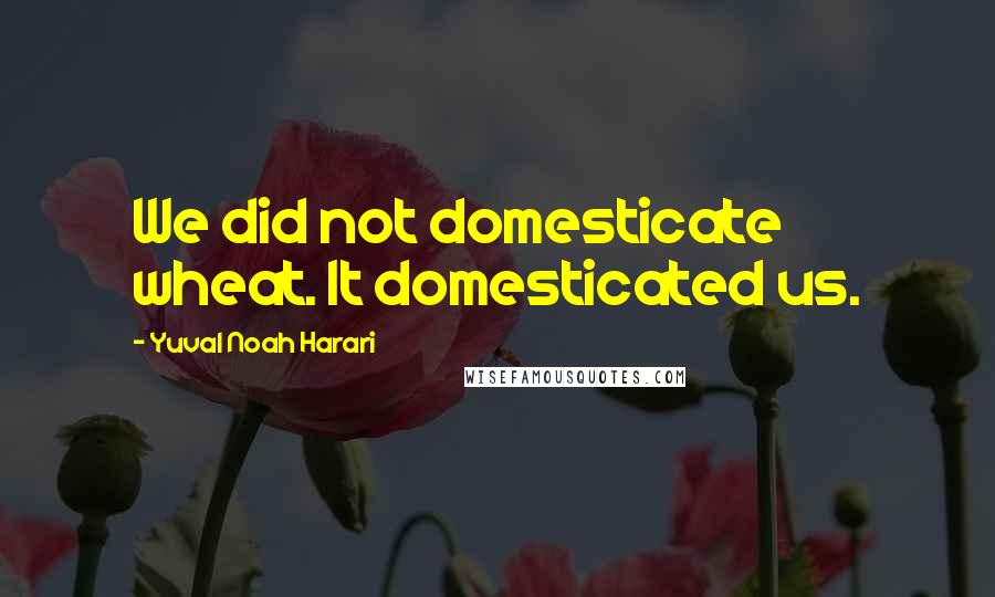 Yuval Noah Harari Quotes: We did not domesticate wheat. It domesticated us.