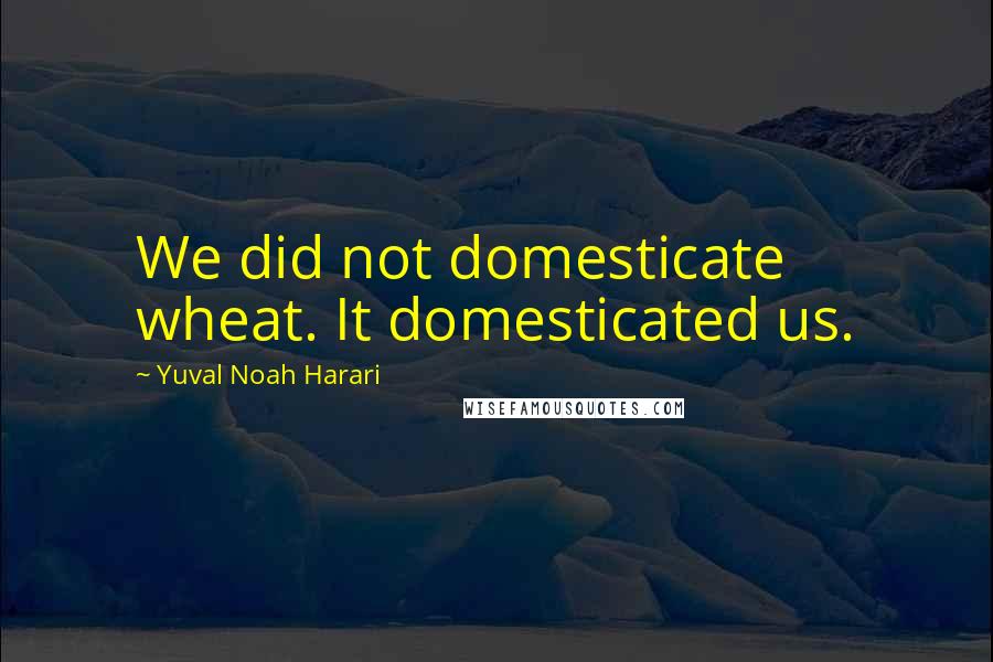 Yuval Noah Harari Quotes: We did not domesticate wheat. It domesticated us.
