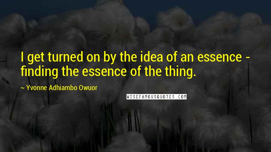 Yvonne Adhiambo Owuor Quotes: I get turned on by the idea of an essence - finding the essence of the thing.