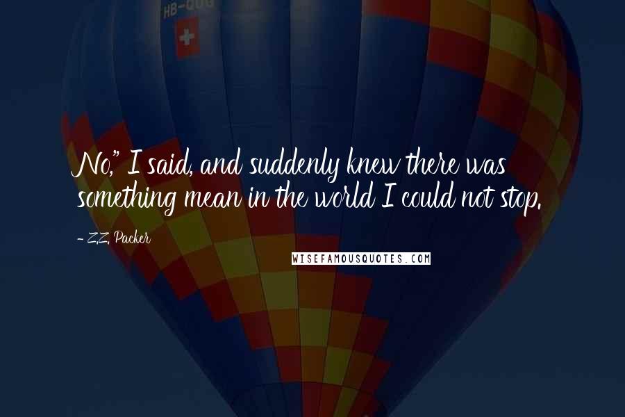 Z.Z. Packer Quotes: No," I said, and suddenly knew there was something mean in the world I could not stop.